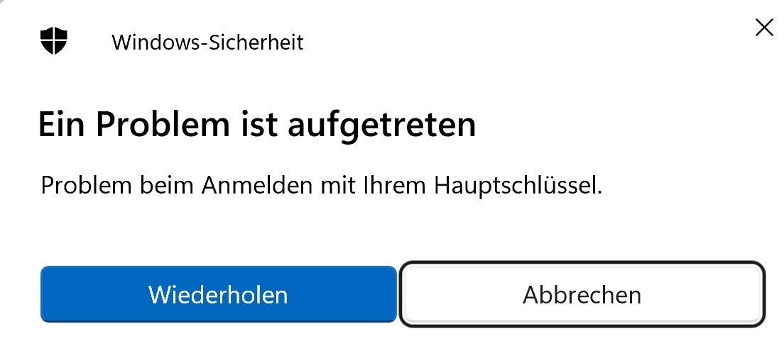 Screenshot: Windows Sicherheit ein Problem ist aufgetreten